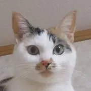 まりこ