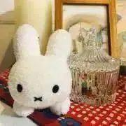 ふろぷしぃの画像