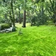 Tombowの画像