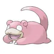 やどかりの画像