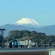 Fujiの画像