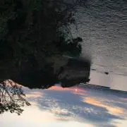 やん