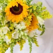 Fleur du bonheurの画像