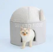 potatoooの画像