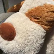 ましゅまろの画像
