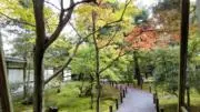 Verdeの画像