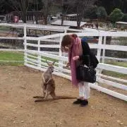 @riの画像