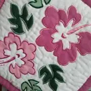 わたこの画像