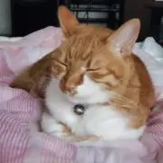 S K
