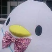 orpheenovの画像