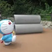 こっちゃんの画像