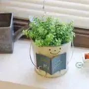 H☆Yの画像