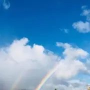 ココアの画像