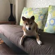 かぼ    LOVE