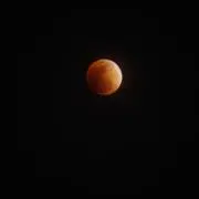 即購入歓迎です