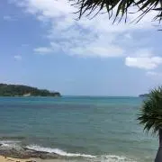 海が好き⠒̫⃝プロフ読んでね⍥⃞の画像