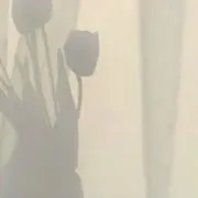 hcnの画像