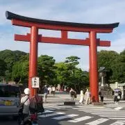 まつの画像