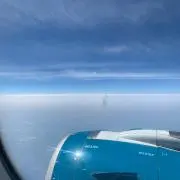 まさこ