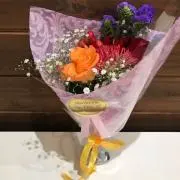 ぽちかの画像