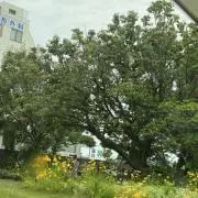 yuukiの画像