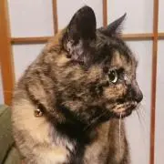 ちせ