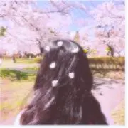 みっち