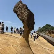 yoshieの画像
