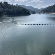 千原シニアの画像