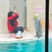 さかいの画像