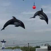 あっさり派なすー(プロフ見て下さい)の画像