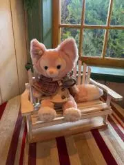 ラキラキ※プロフ必読の画像