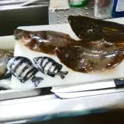 ミオ