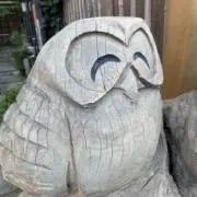 ちょんぺの画像