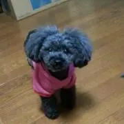 ぷるる