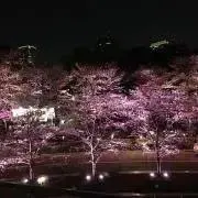 なぎ〜の画像