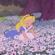 わかば