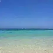 ゆずの画像