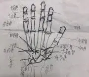 しょうの画像