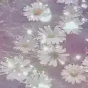 ［よっぺ］★プロフ読んで下さいの画像