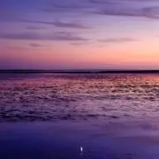 Rnの画像