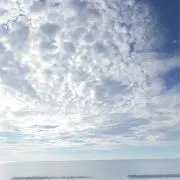 ききの画像
