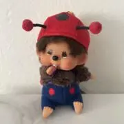 こもちんの画像