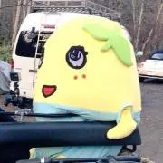 ななっしー