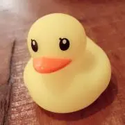 葵※変更手続き中