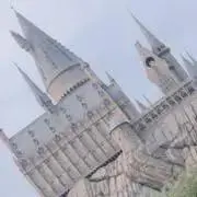 \( ˆ ˆ )/♡