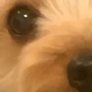 miの画像