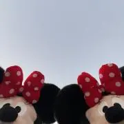はるぴょんの画像