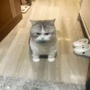 えむ　フォロワー募集中の画像