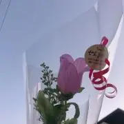 まりこ